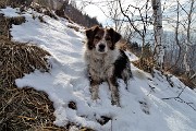 50 Nika felice nella neve